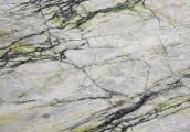 Olive Veining